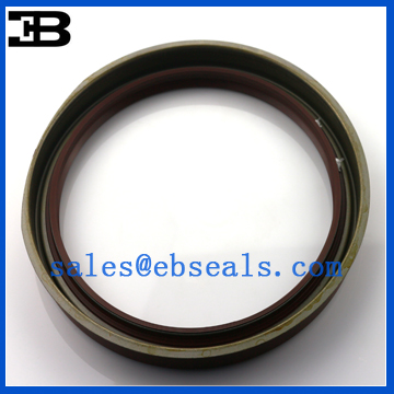 BW2410-G0 DC5Y Hydraulic Oil Seal