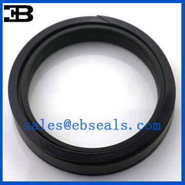 GS0583-V5 SPGW Oil Seal